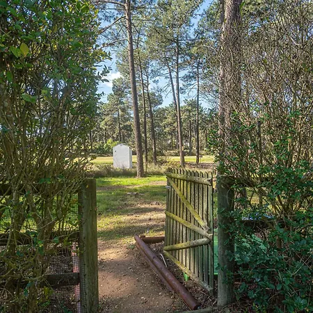 Ciprestes Appartement Aroeira (Setubal)